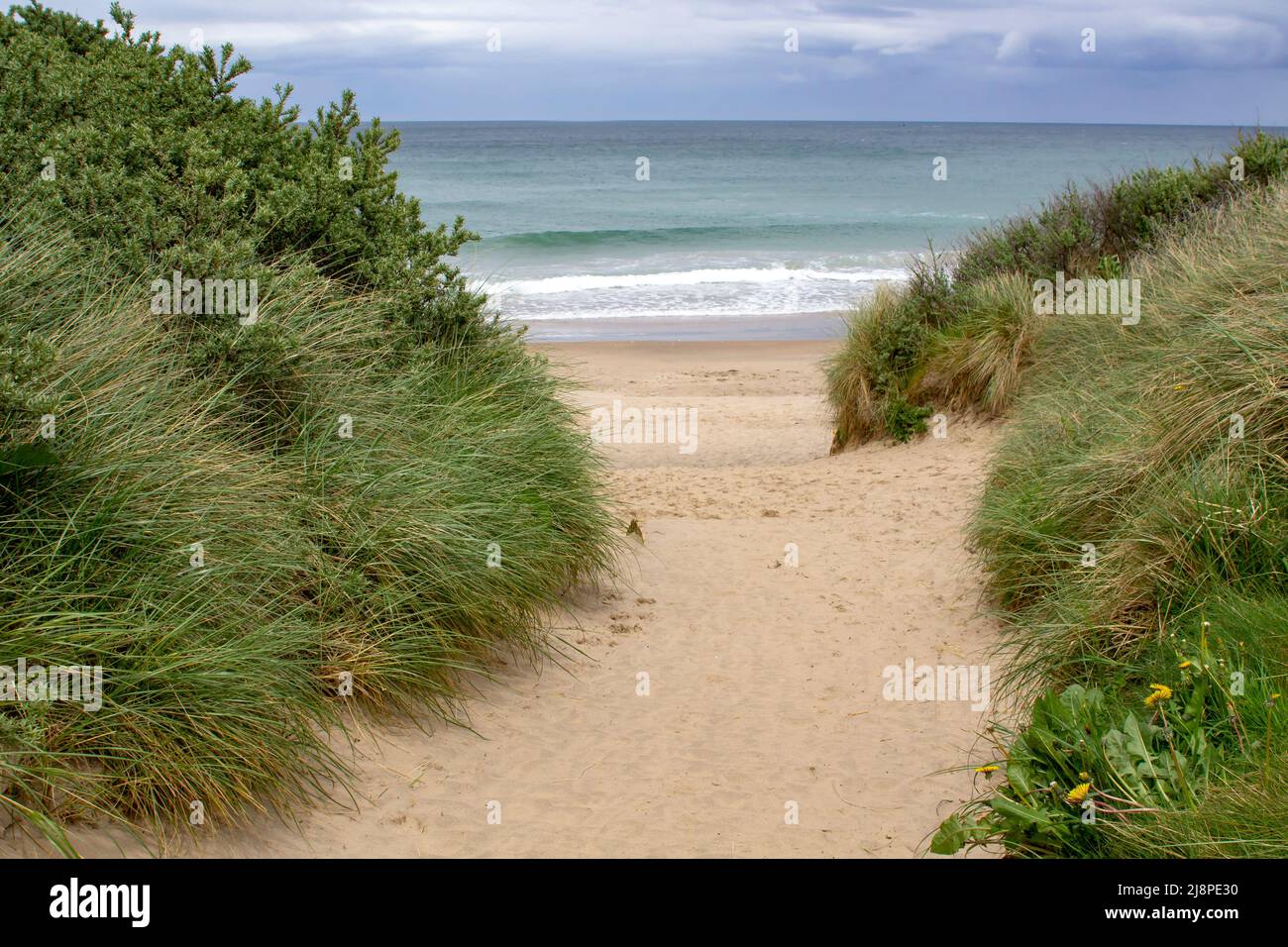 12. Mai 2022 Sanddünen und der Strand von Port Ballintrae an der malerischen North East Causeway Coast in Nordirland in der Grafschaft Antrim Stockfoto