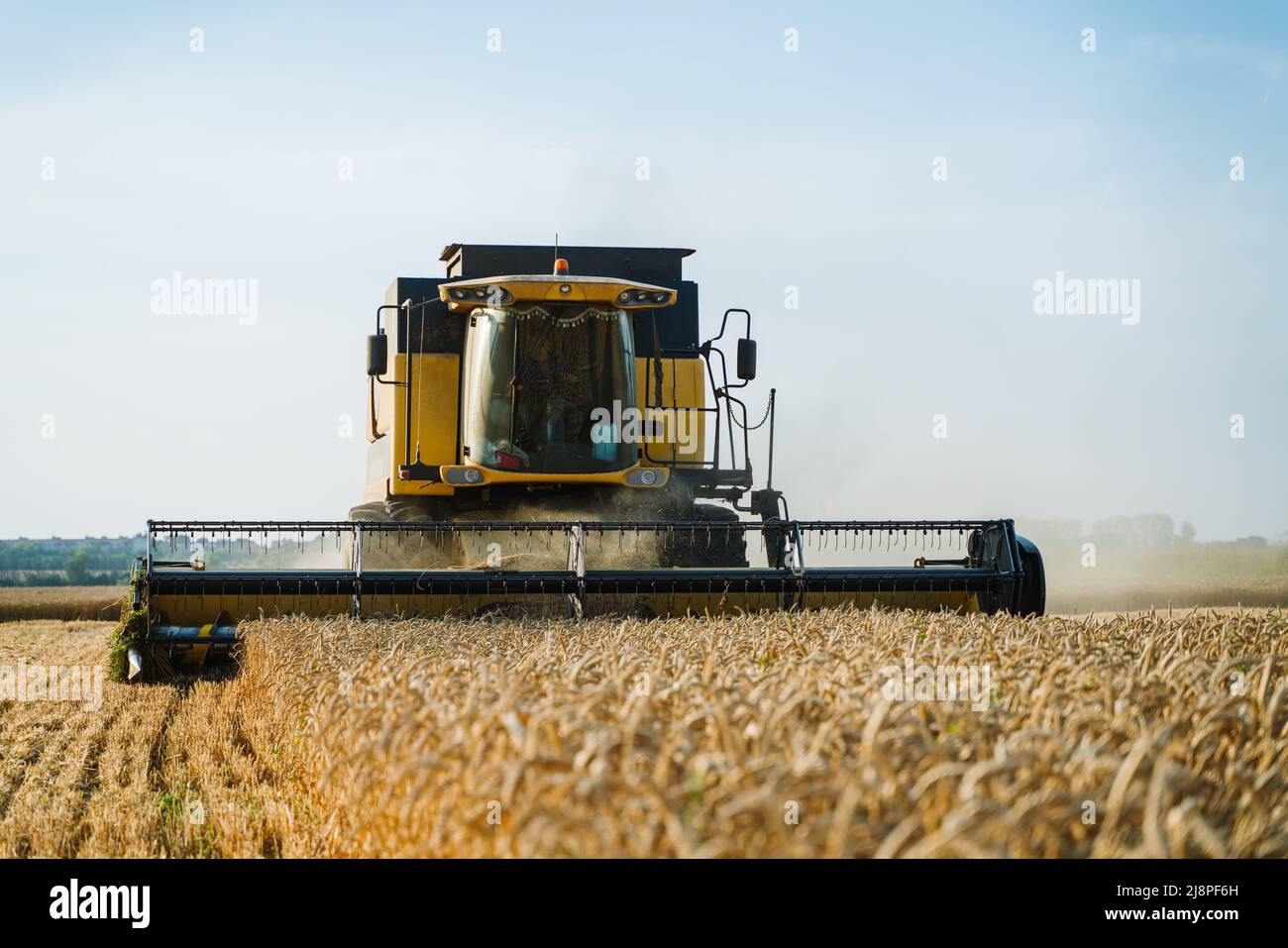 Mähdrescher ernten reifen Weizen. Reife Ähren gold Feld auf den Sonnenuntergang bewölkt orange Himmel Hintergrund. . Konzept für eine reiche Ernte. Landwirtschaft Stockfoto