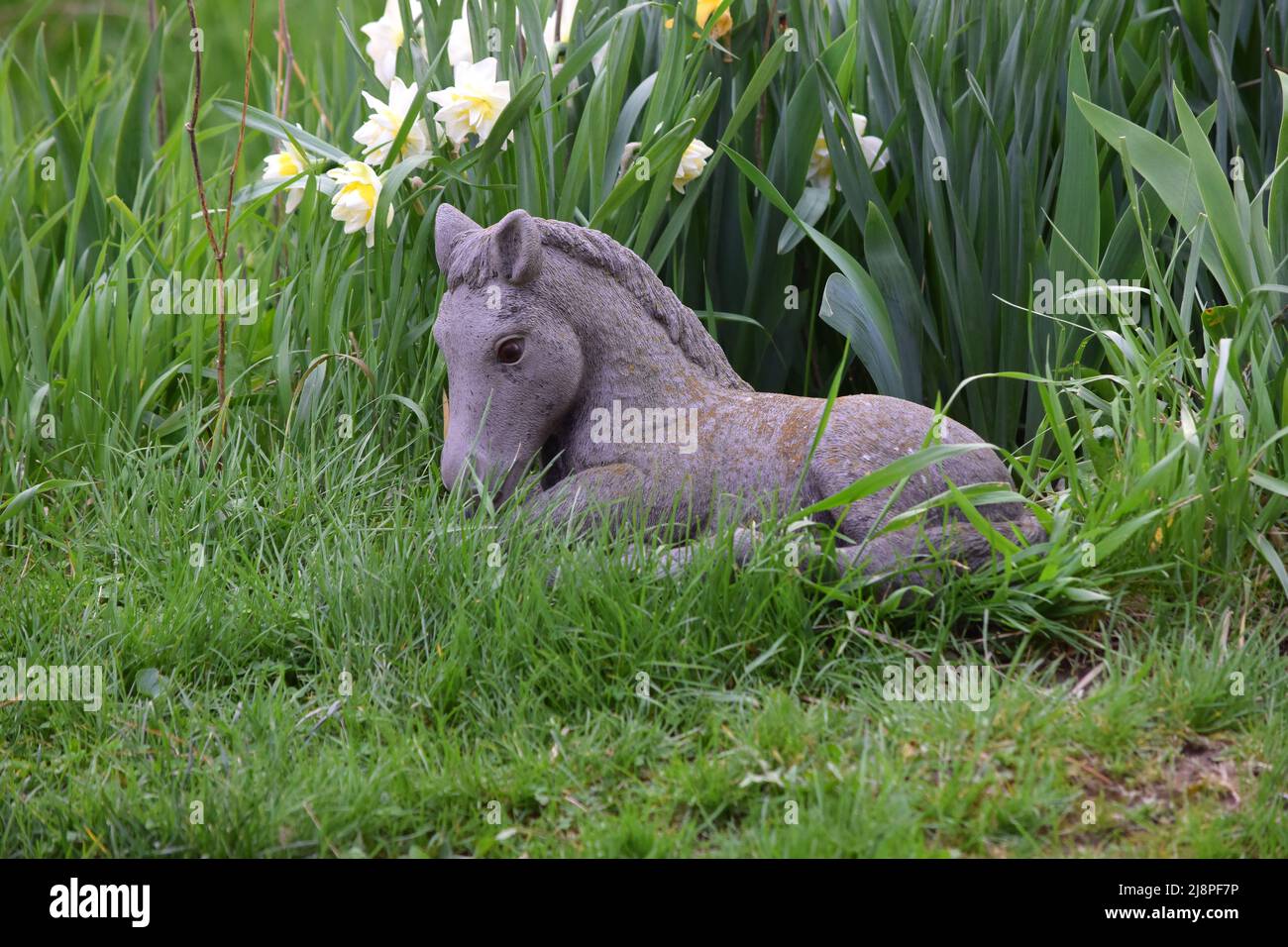 Eine Pferdestatue in unserem Blumengarten im Südwesten von Wisconsin Stockfoto