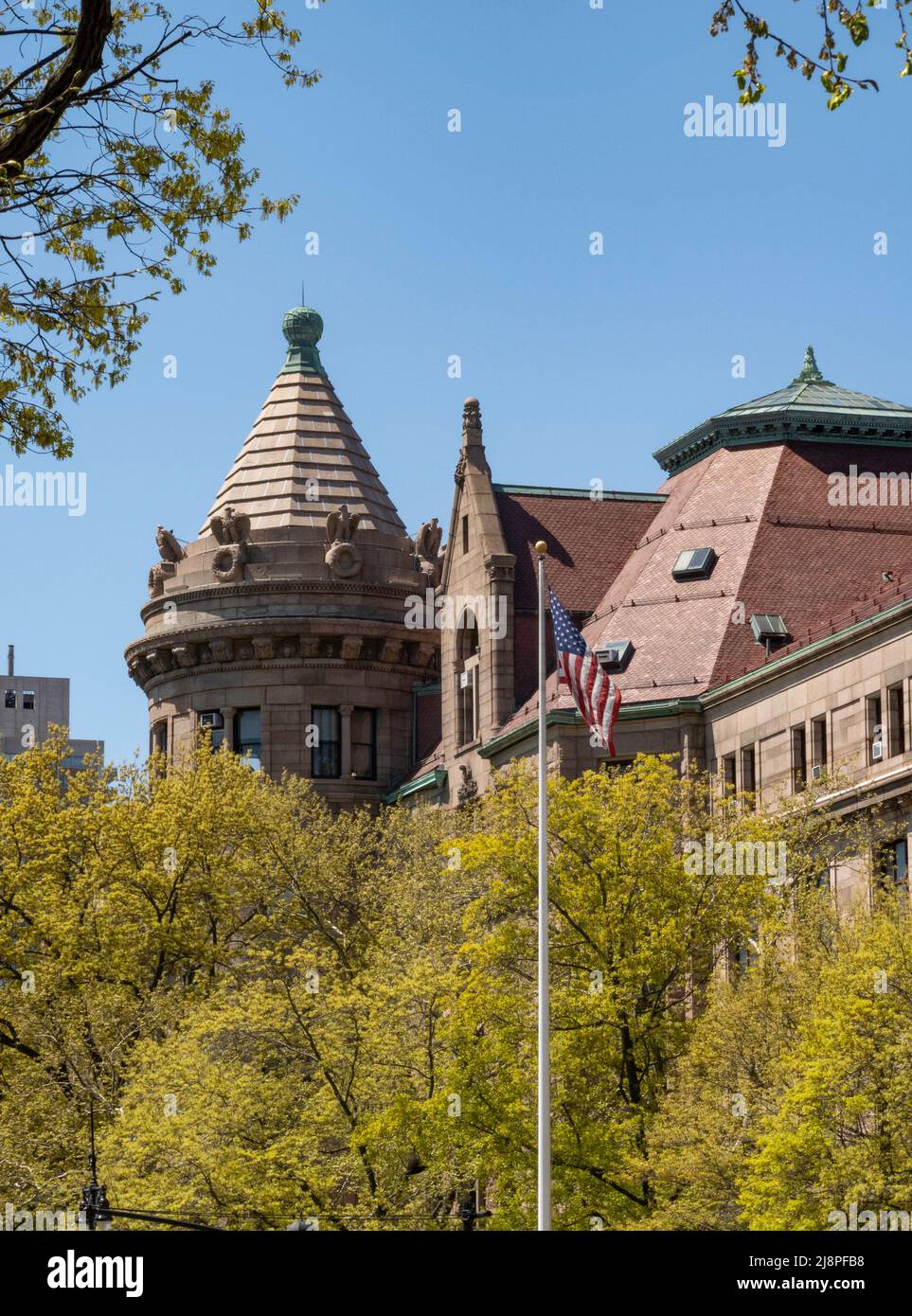 American Museum of Natural History, New York, USA Stockfoto