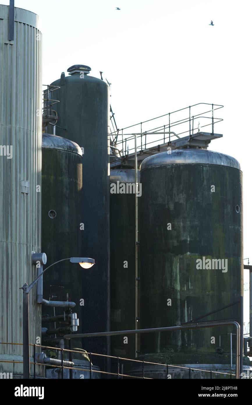 Brauereitanks aus der Nähe, abstrakte Industrie oder Industrieanlagen Stockfoto