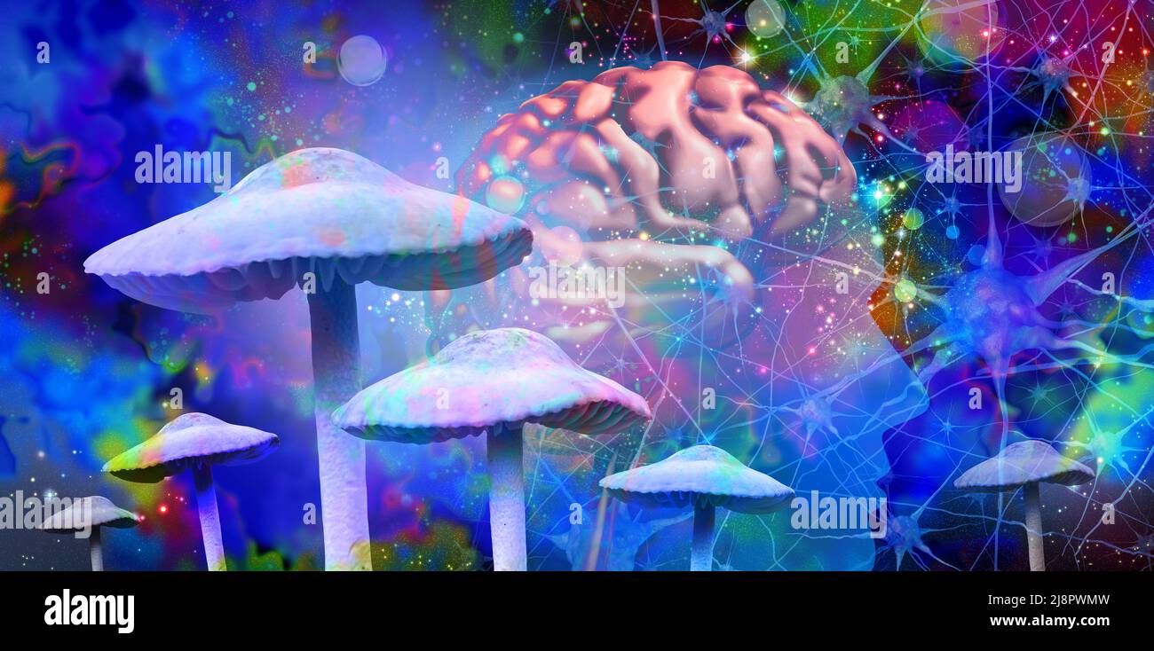 Pilze und psychische Gesundheit als psychedelische Droge oder Psychedelika halluzinogene Drogen und Halluzinogene, die Medizin für Gehirnerkrankungen darstellen. Stockfoto