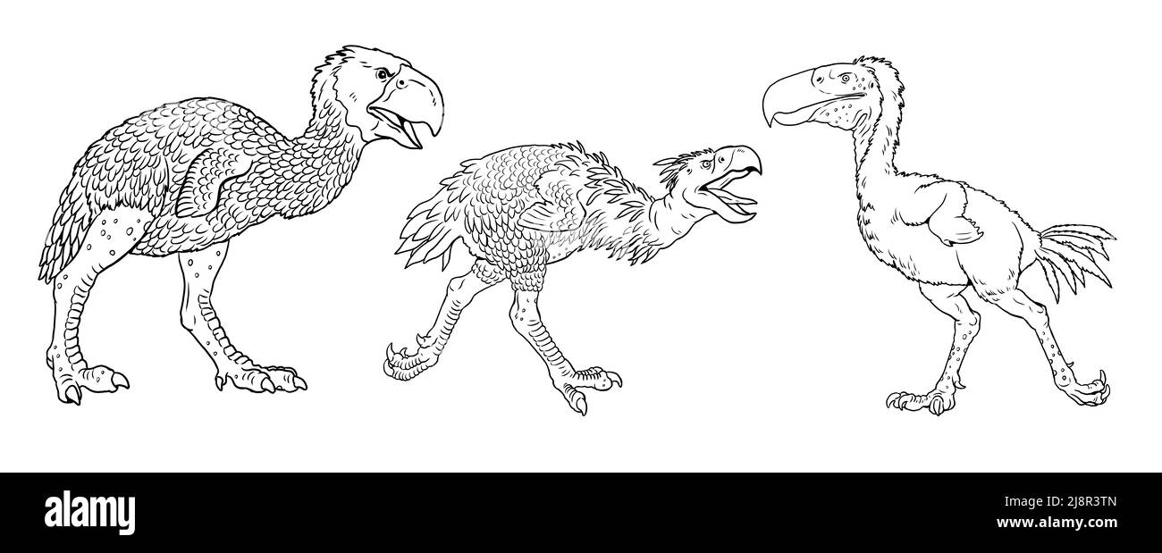 Prähistorische Raubvögel. Kelenken, Titanis und gastornis. Zeichnung mit ausgestorbenen Raubtieren Terrorvögel. Stockfoto
