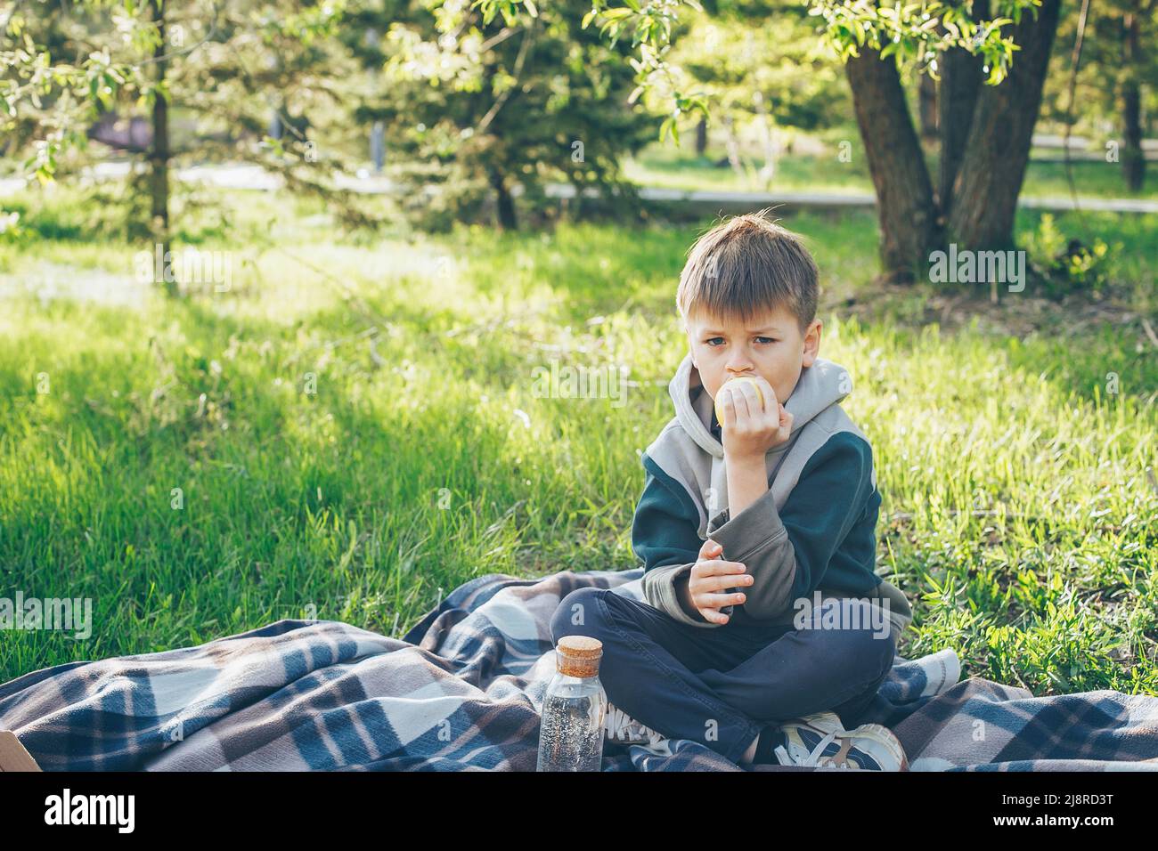 Junge 7-8 Jahre alt sitzt auf karierten und aß Apfel. Konzept des Frühlings- oder Sommerpicknicks. Stockfoto