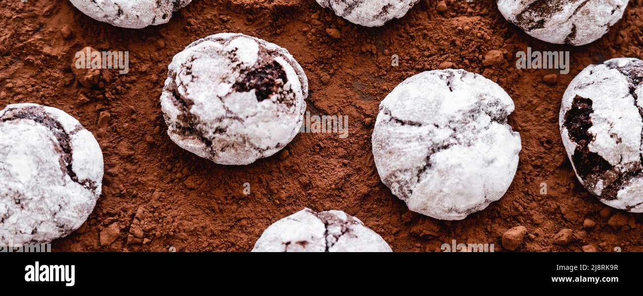 Draufsicht auf Cookies mit Puderzucker auf Kakaopulver, Banner Stockfoto