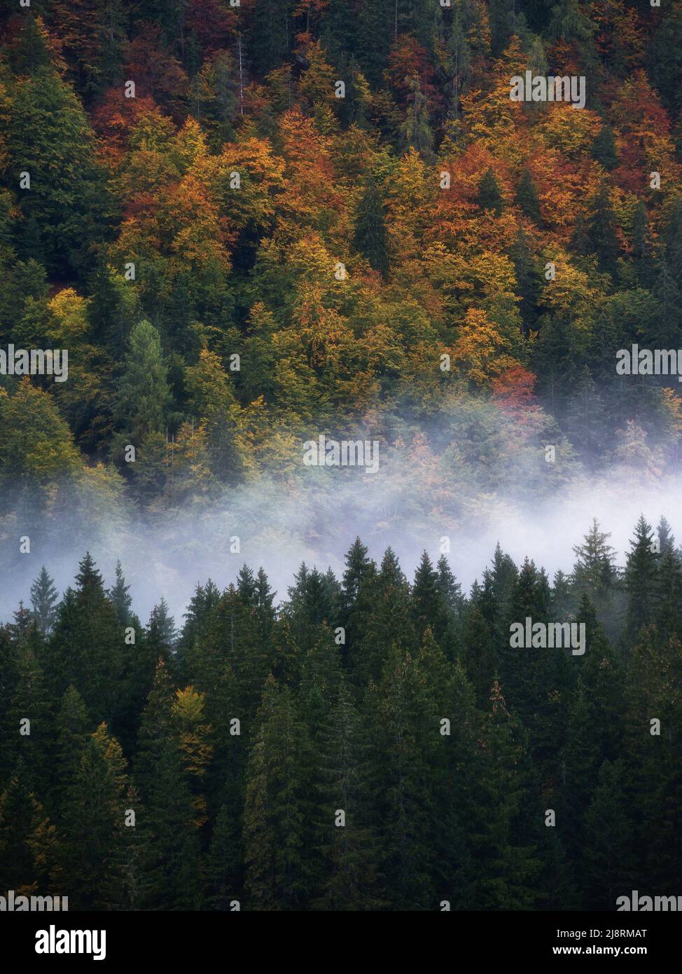 Fusine Seen an einem ruhigen Herbsttag Stockfoto