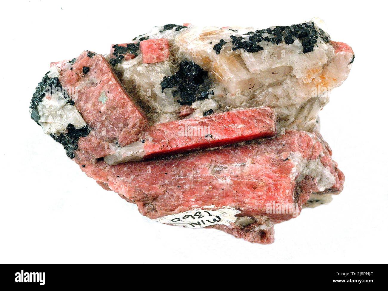 Rhodonit ist ein Mitglied der Pyroxengruppe mit der Mineralformel (Mn,Fe,mg,Ca)5(SiO3)5. Rhodonit ist für Schmuck geschnitzt. Der Name stammt vom griechischen Wort für Rose, Rhodon. Diese Probe ist etwa 5 cm lang. Stockfoto