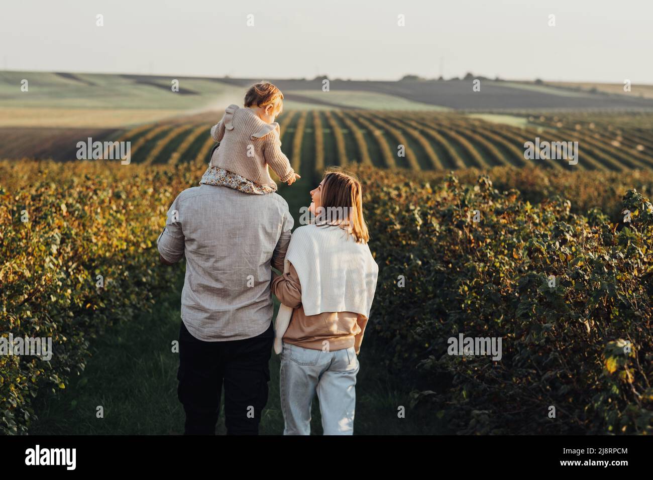 Rückansicht der glücklichen jungen Familie im Freien, Mutter und Vater mit ihrer kleinen Tochter bei Sonnenuntergang auf dem Feld Stockfoto