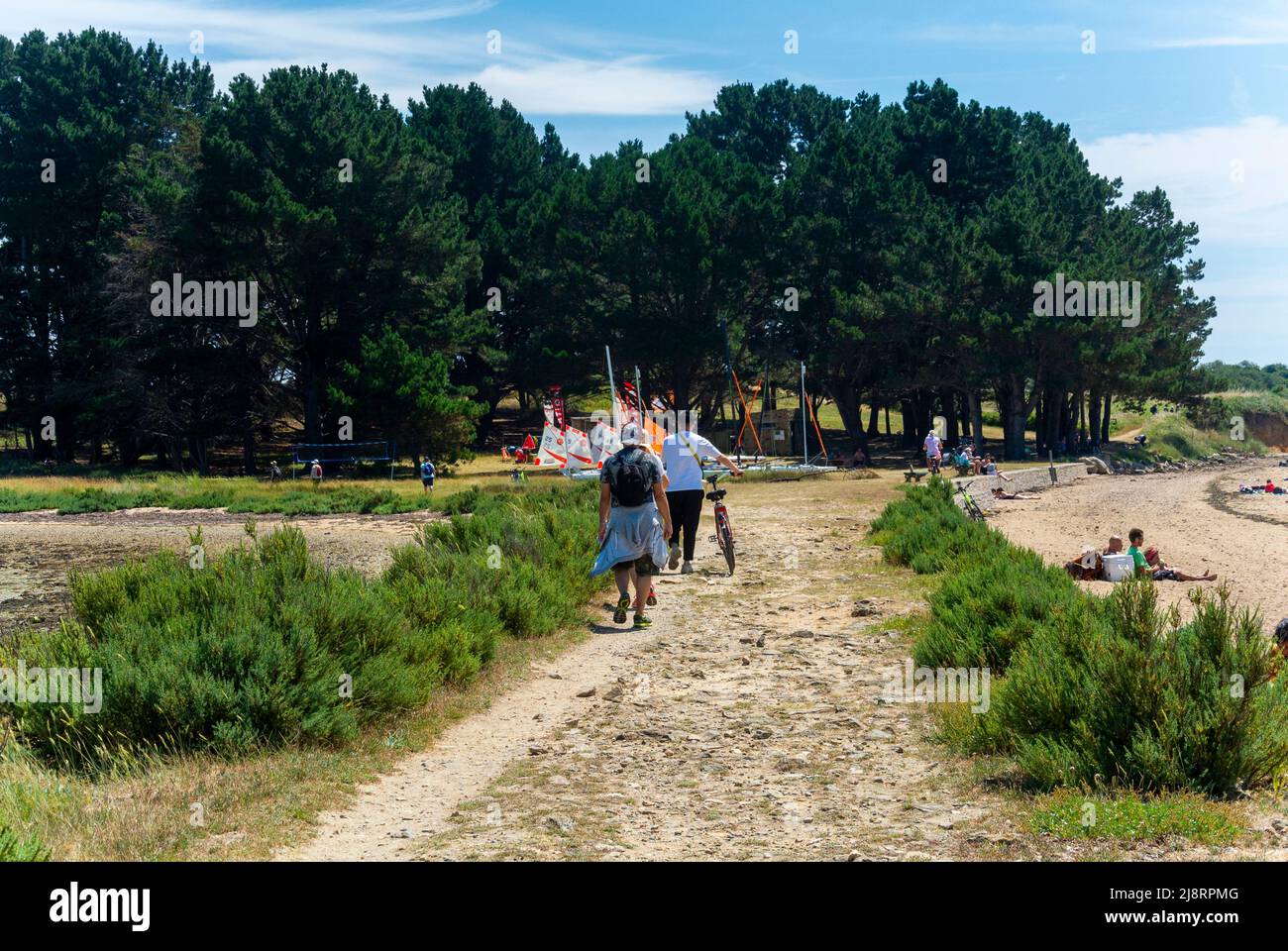 Ile d'Arz, Frankreich, Bretagne, Gruppentouristen, die den Strand mit dem Fahrrad besuchen, auf dem 'Golf du Morbihan' Stockfoto