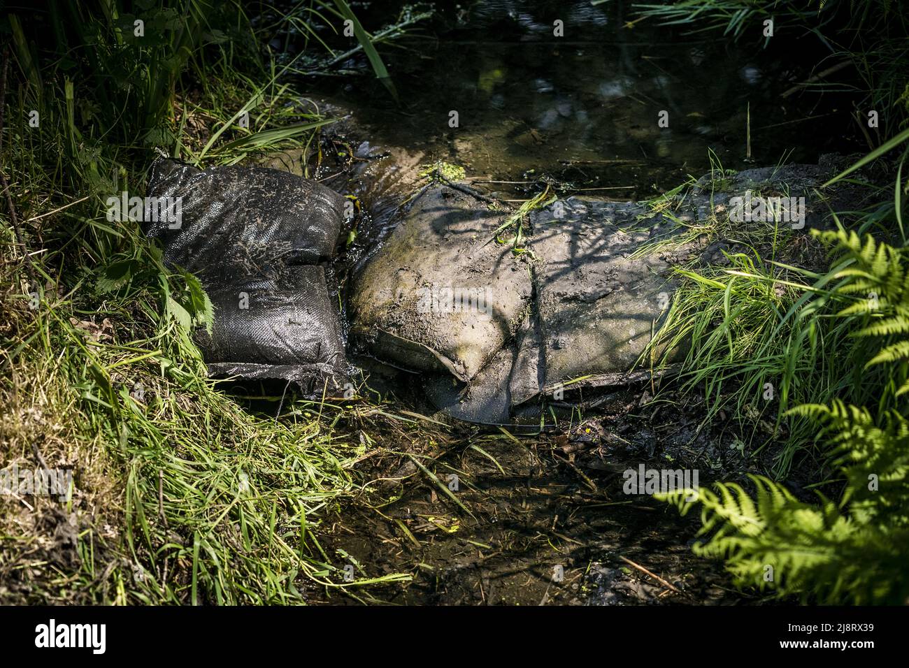 2022-05-18 13:09:16 MEIJEL - Sandsäcke bilden einen Damm in einem schnell fließenden Graben, der Wasser sammelt, das während der Dürre verwendet werden kann. Wasserbretter müssen immer mehr Maßnahmen gegen die anhaltende Dürre ergreifen. Die Anzahl der Spritzverbote wurde damit erheblich erweitert. ANP ROB ANGELAAR niederlande aus - belgien aus Stockfoto