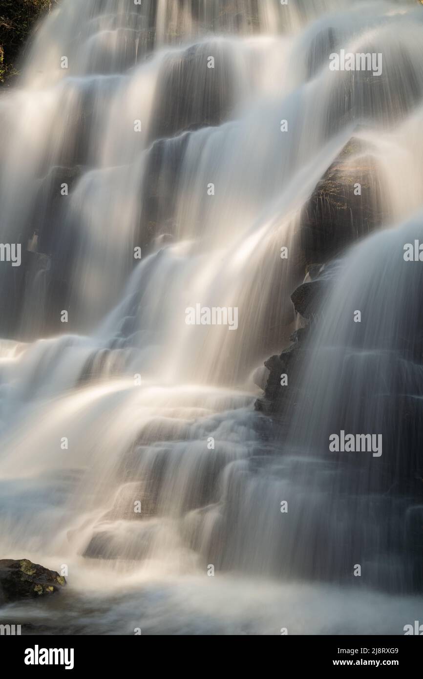 Wasserfall in der Nähe der Yellow Branch Falls in Walhalla, South Carolina, USA. Stockfoto