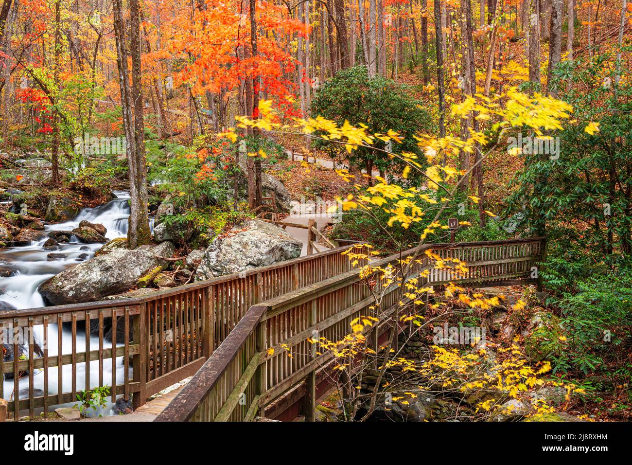 Brücke zu Anna Ruby Falls, Georgia, USA im Herbst. Stockfoto