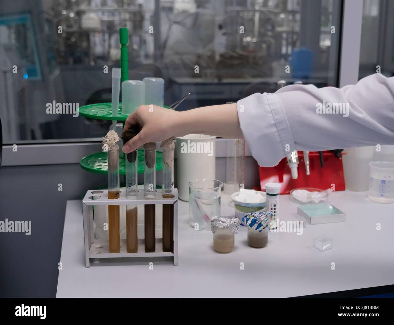 Eine Hand in einem biologischen Labor legt ein Reagenzglas mit einer chemischen Probe in ein Reagenzglasgestell. Stockfoto