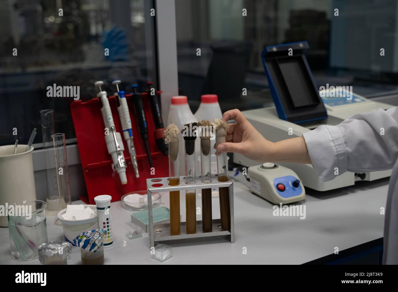 Eine Hand in einem biologischen Labor legt ein Reagenzglas mit einer chemischen Probe in ein Reagenzglasgestell. Stockfoto