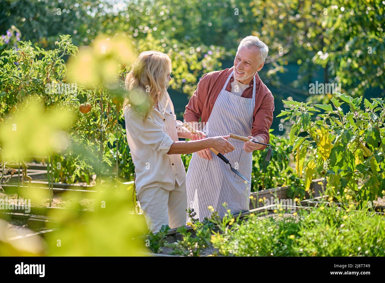 Mann und Frau mit Gartengeräten im Garten Stockfoto