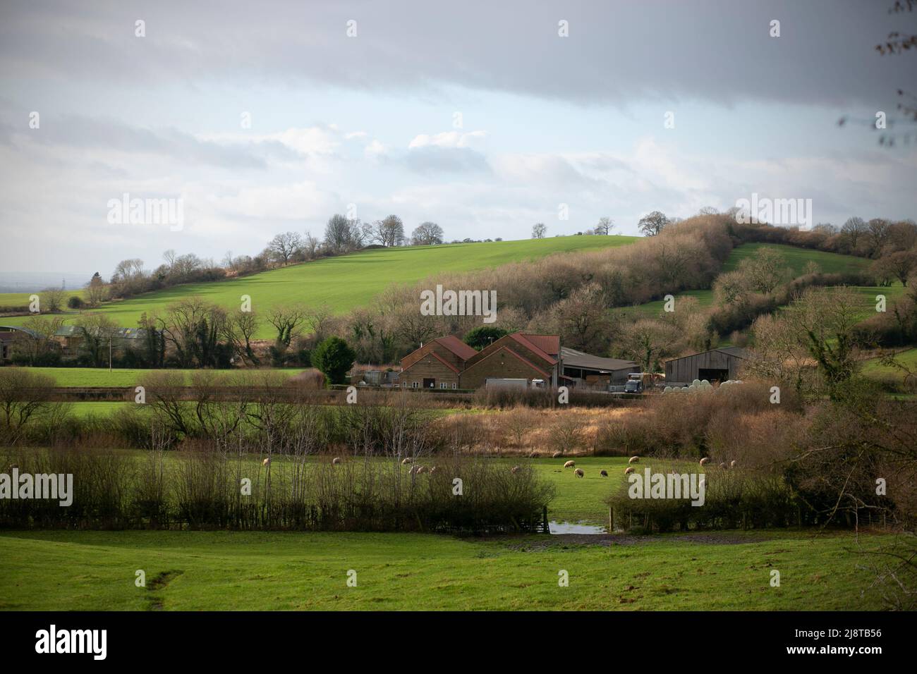 Blick auf die hügeligen Howardian Hills auf dem Weg zum Weißen Pferd von Kilburn. Ein toller Spaziergang zu einem tollen Pub: The Fauconberg Arms, Coxwold, North Yorkshi Stockfoto