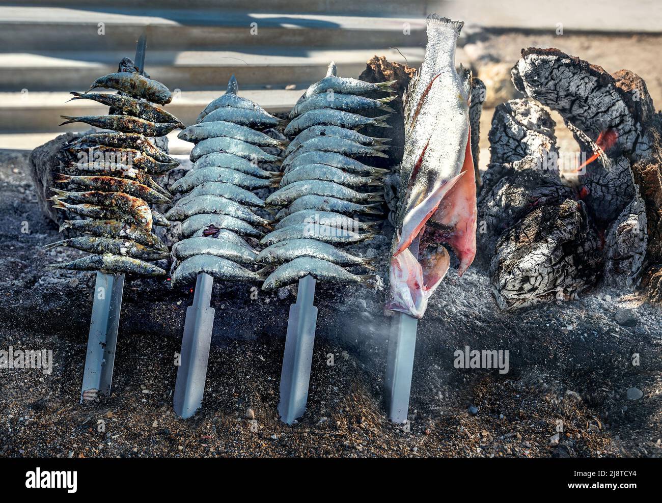 Nahaufnahme des Fischgrillen auf Metallspiessen über heißen Kohle. Straßenhintergrund. Malaga, Andalusien, Spanien Stockfoto