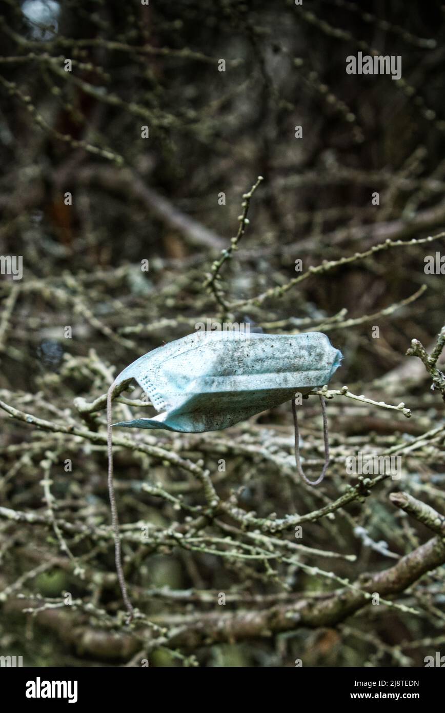 Die Nachwirkungen einer weltweiten Pandemie. Natur und Tierwelt zahlen den Preis, da Gesichtsmasken die Planeten Ozeane und Wälder übersäen. Stockfoto