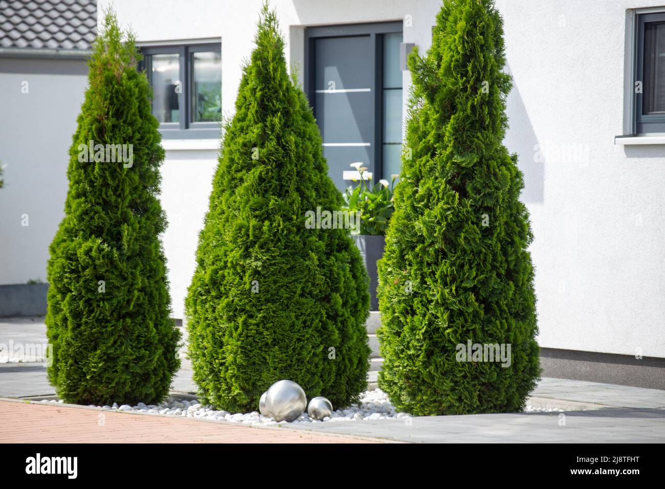 Moderner und gepflegter Vorgarten mit Thuja-Bumen Stockfotografie - Alamy