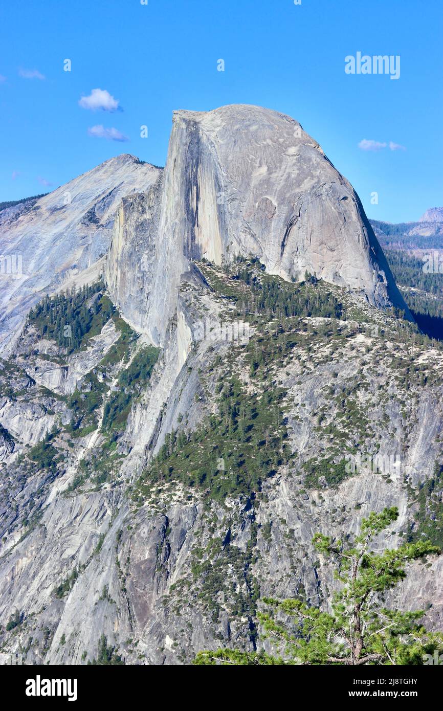 Half Dome im Yosemite-Nationalpark Stockfoto