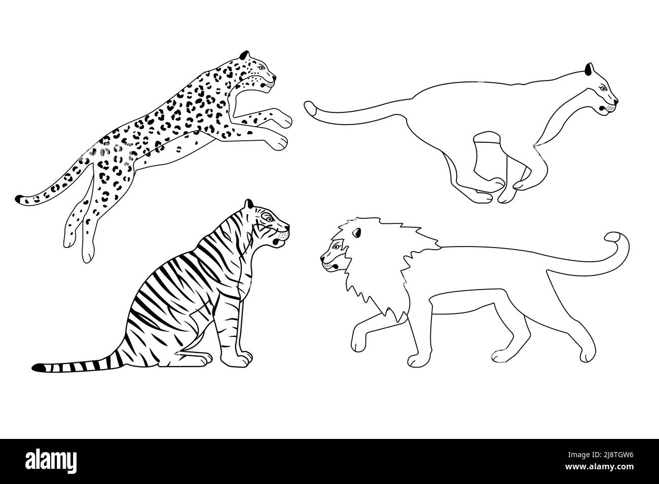 Vektor-Set von flachen Umriss wilden großen Katzen Stock Vektor