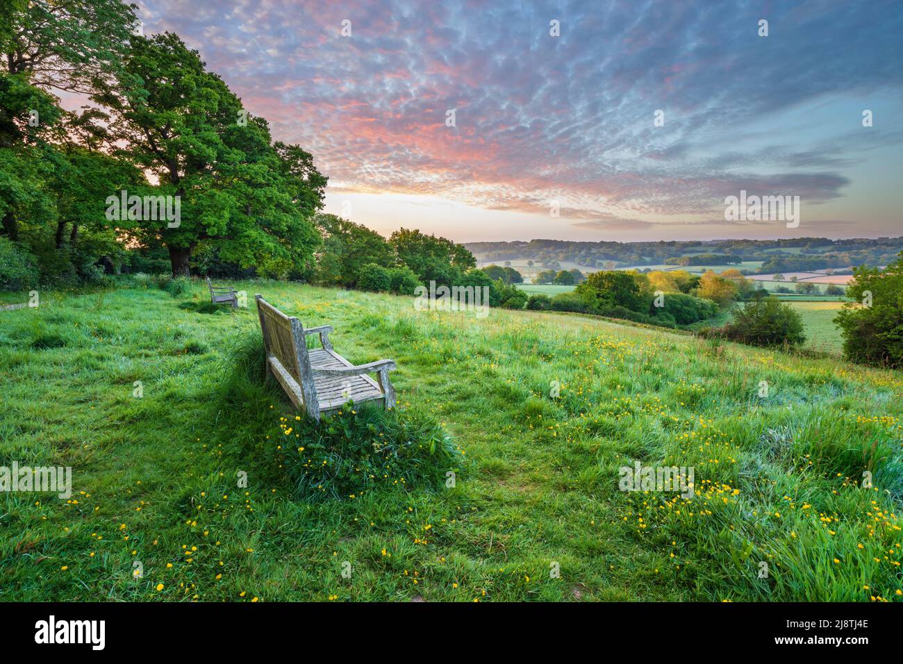 Holzbank mit Blick auf die High Weald Landschaft bei Sonnenaufgang im Frühjahr, Burwash, East Sussex, England, Vereinigtes Königreich, Europa Stockfoto
