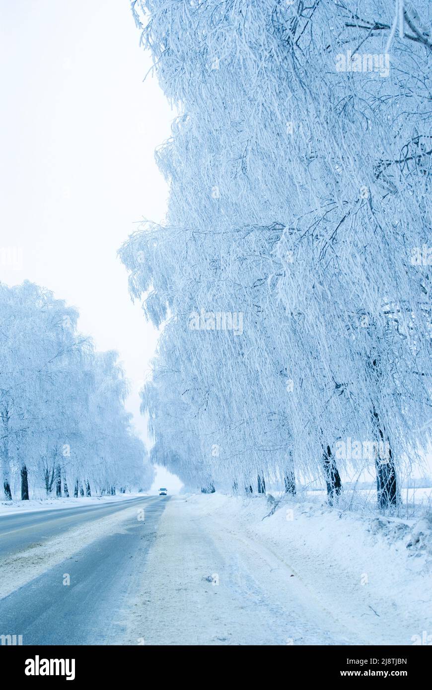 Nach dem Schneesturm im Winter war die Straße auf einer eisigen Straße auf dem Land unter Bäumen Stockfoto