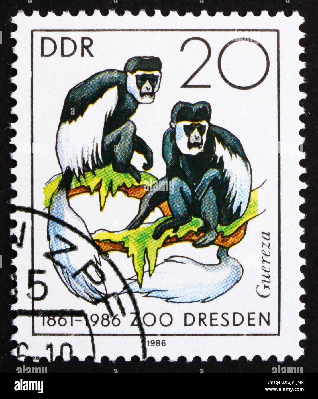 DDR - UM 1986: Eine in der DDR gedruckte Briefmarke zeigt den Kolobusaffen, 125.. Jahrestag des Dresdner ZOOS, um 1986 Stockfoto