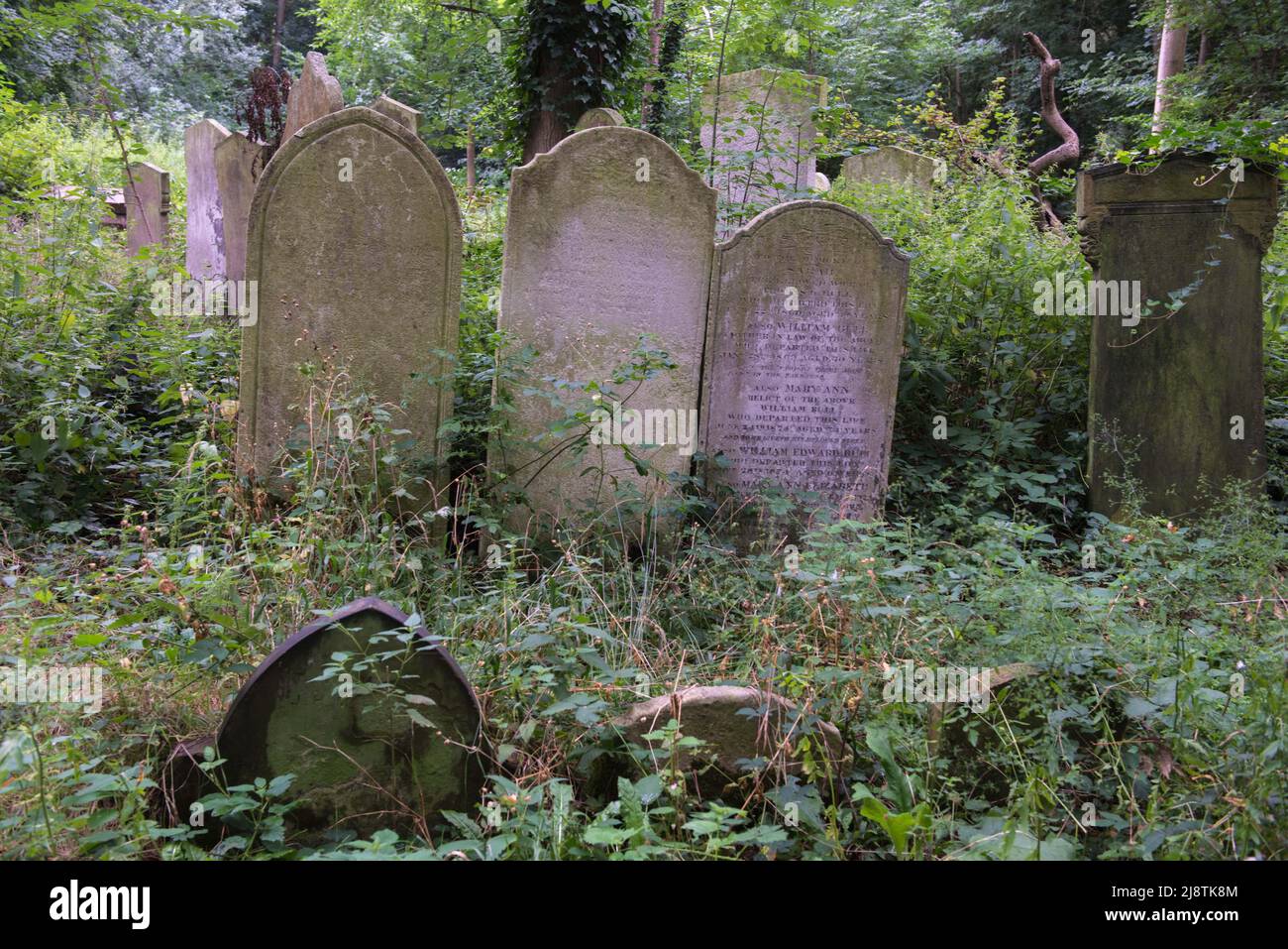 London, 23/08/2017: Der Tower Hamlets Cemetery Park ist der urbane Waldpark Londons und der einzige eigene Waldpark von Tower Hamlets. Historisch gesehen ist es einer der sieben großartigen Friedhofs Londons, der 1966 für Bestattungen geschlossen und zu einem öffentlichen Park wurde. © Andrea Sabbadini Stockfoto