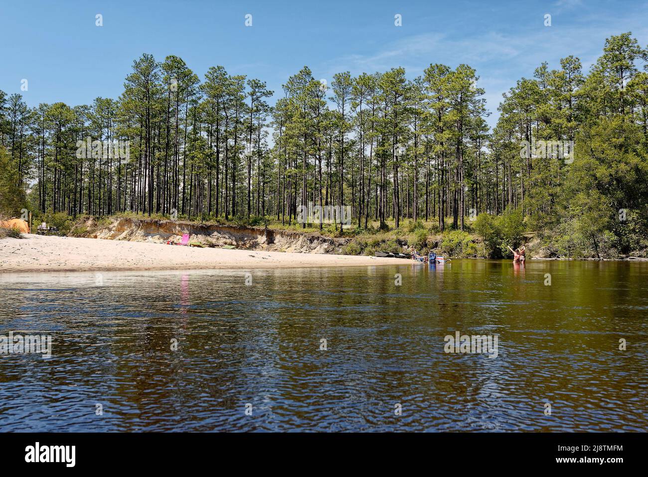 Flusslandschaft, Campingplatz, Frauen im Wasser, Sandstrand, Zelt, Mann sitzend, Erholung, Freizeit, Bäume am Ufer, Natur, Blackwater River State Park; Florid Stockfoto
