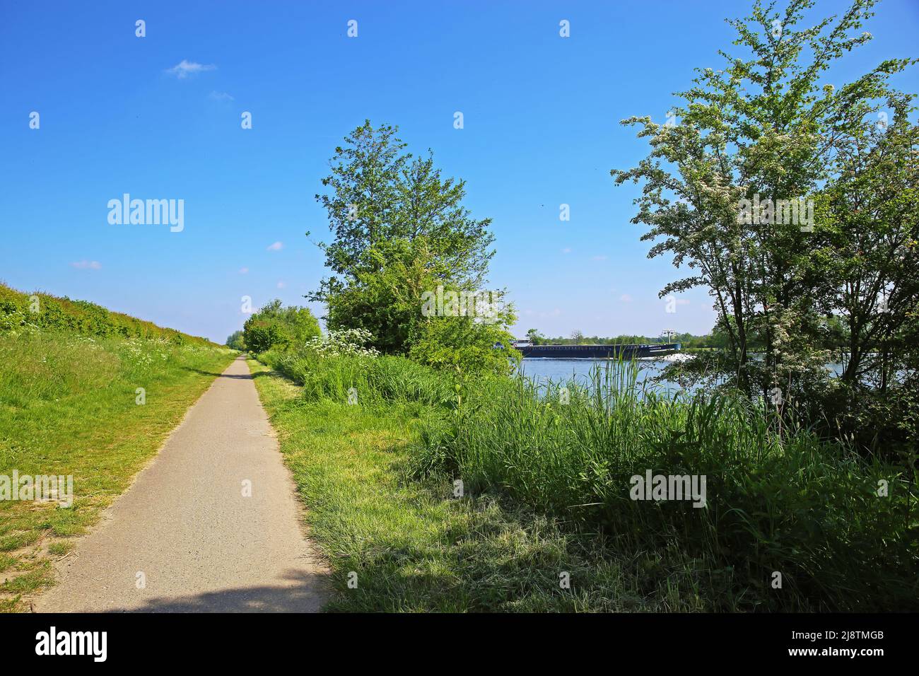 Schöne holländische ländliche Landschaft mit Radweg am Flussufer, landwirtschaftliches Feld, Fluss Maas, blauer Himmel - Maasheggen Biosphärenreservat, Niederlande Stockfoto