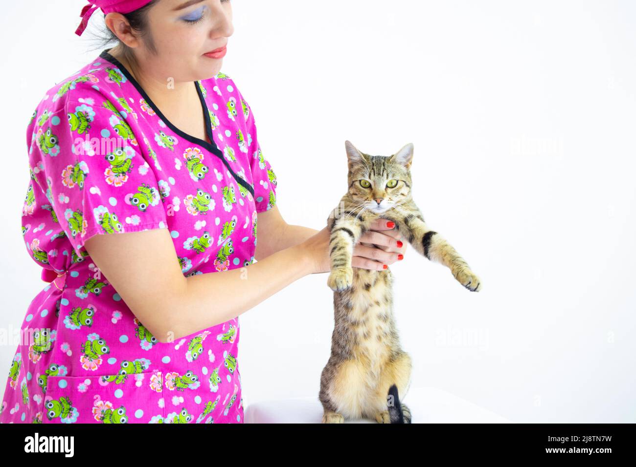 Schöne Frau Tierarzt trägt rosa Uniform und rosa OP-Kappe, Überprüfung niedlichen Kätzchen, die auf zwei Pfoten auf weißem Hintergrund posiert Stockfoto