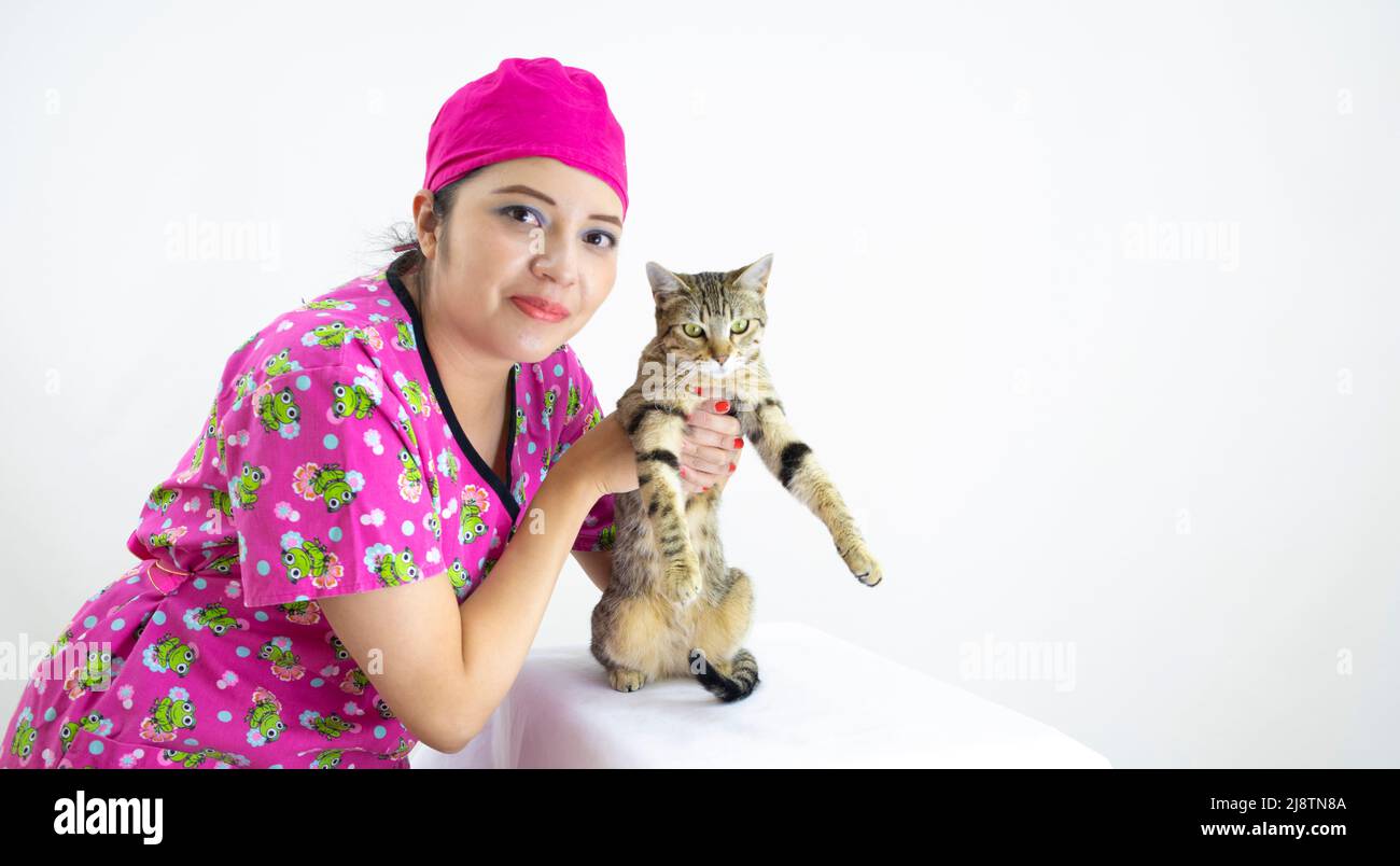 Schöne Frau Tierarzt trägt rosa Uniform und rosa OP-Kappe, Überprüfung niedlichen Kätzchen auf weißem Hintergrund Stockfoto