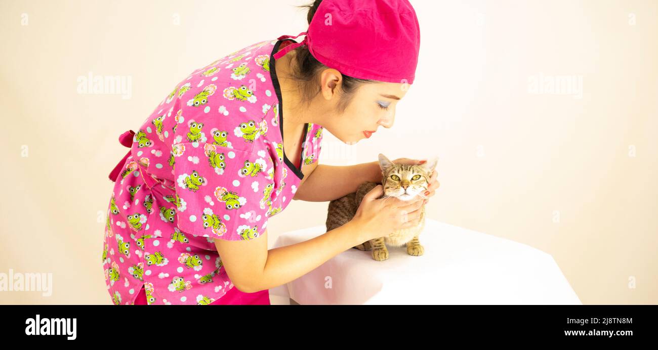 Schöne Frau Tierarzt trägt rosa Uniform und rosa OP-Kappe, Überprüfung niedlichen Kätzchen auf weißem Hintergrund Stockfoto