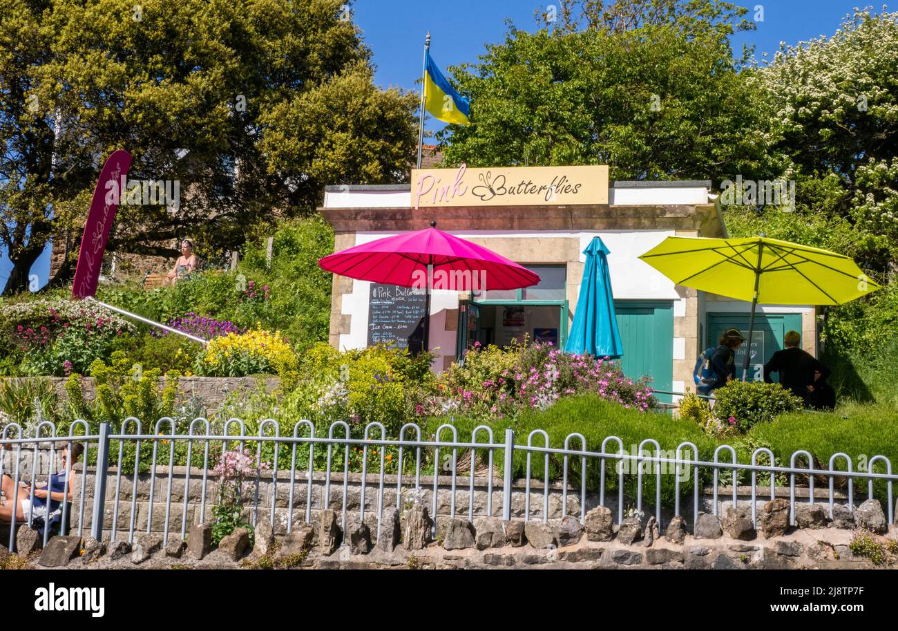 Pink Butterflies Café in öffentlichen Gärten bei Clevedon an der Küste von Somerset in Großbritannien Stockfoto