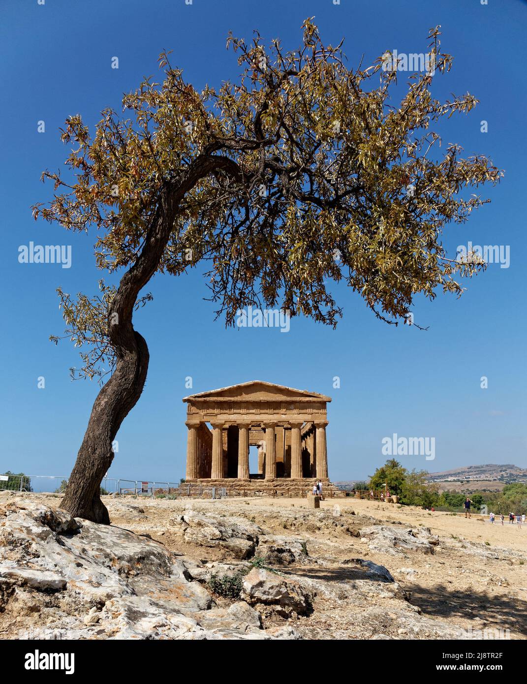 Valle dei Templi, Agrigent Stockfoto