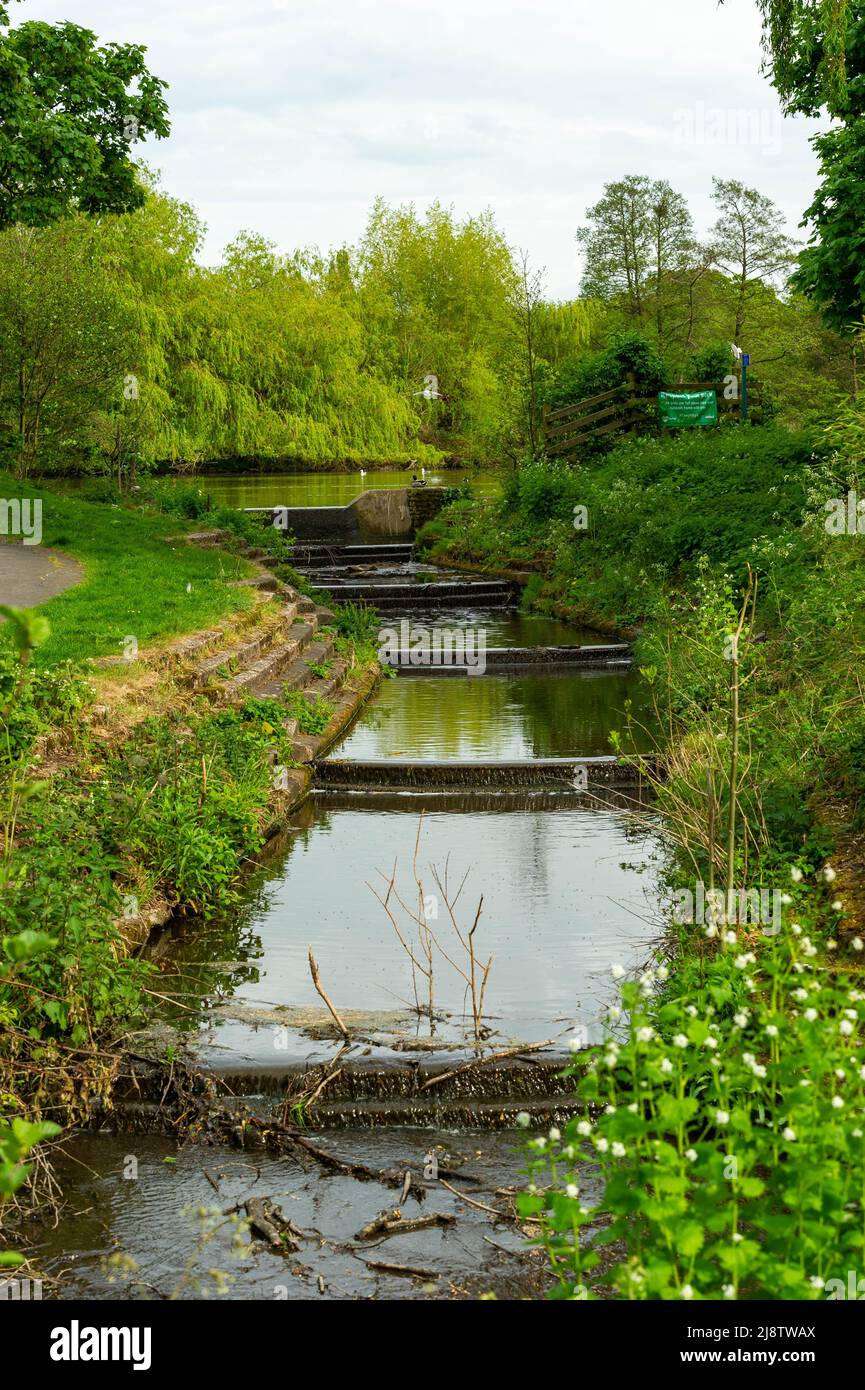 Der Strom, der vom See im Elmdon Park, Solihull, West Midlands, Großbritannien, führt Stockfoto
