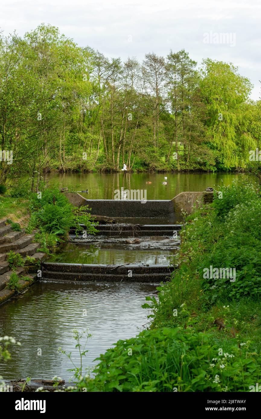 Der Strom, der vom See im Elmdon Park, Solihull, West Midlands, Großbritannien, führt Stockfoto