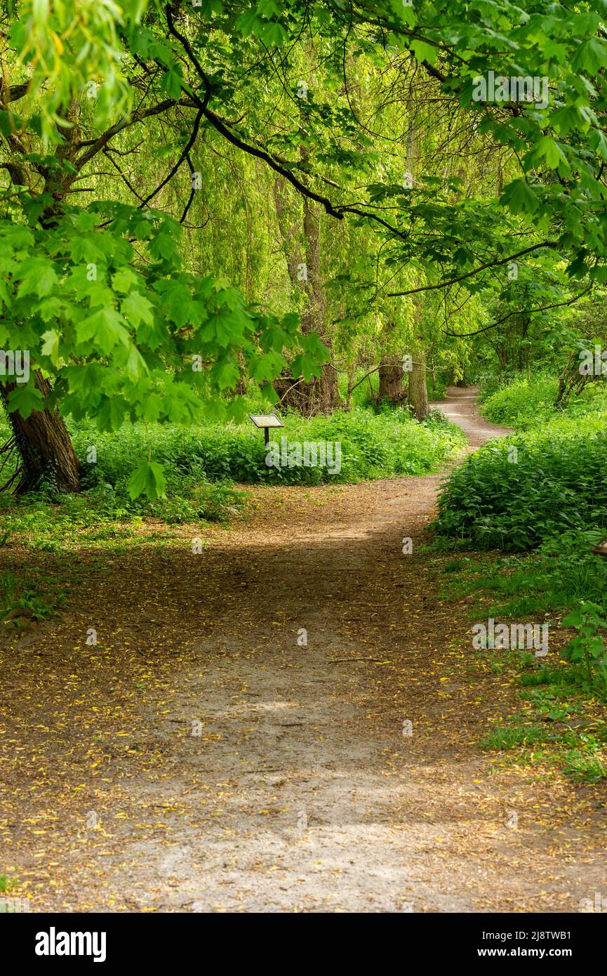 Gewundener Fußweg im Elmdon Park, Solihill, West Midlands, Großbritannien Stockfoto