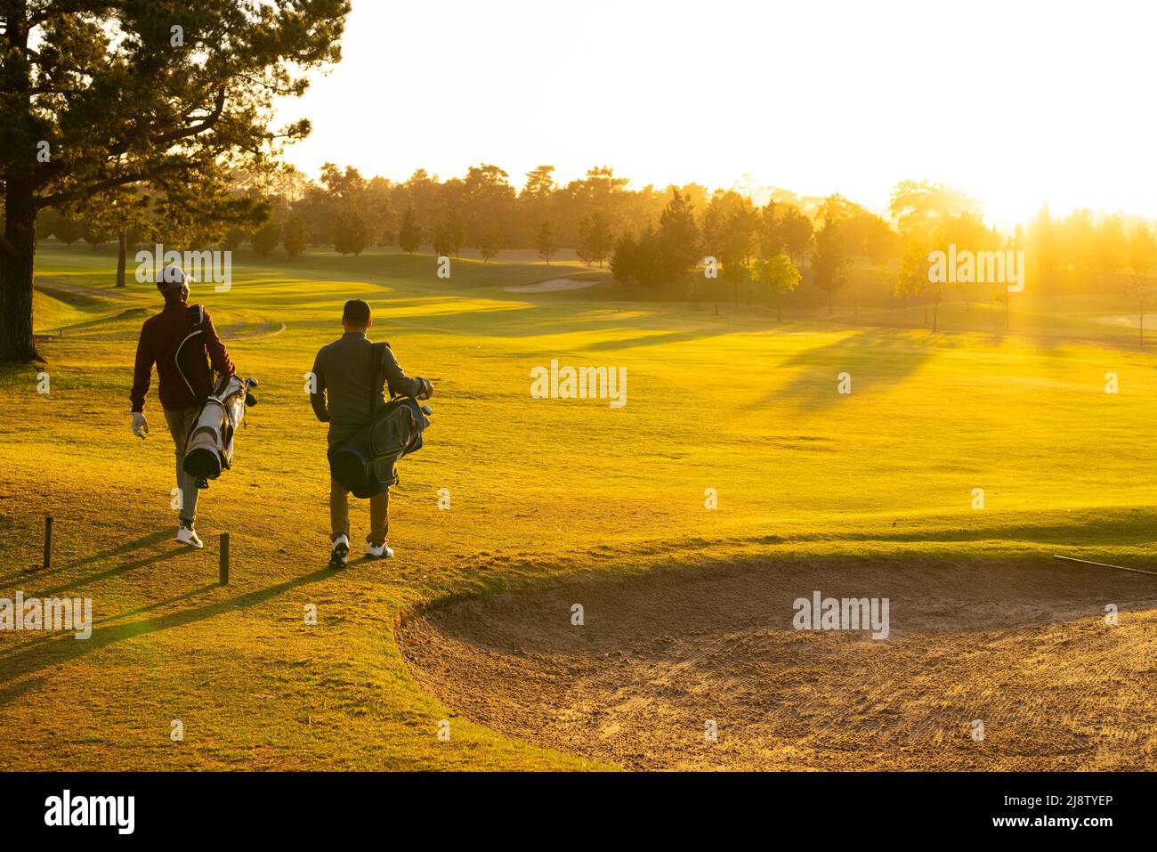 Rückansicht von jungen männlichen multirassischen Freunden mit Golftaschen, die auf dem Golfplatz gegen den klaren Himmel laufen Stockfoto