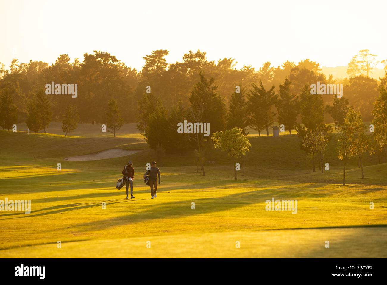 Multirassische junge männliche Freunde mit Golftaschen, die gegen den klaren Himmel und Bäume auf dem Golfplatz laufen Stockfoto