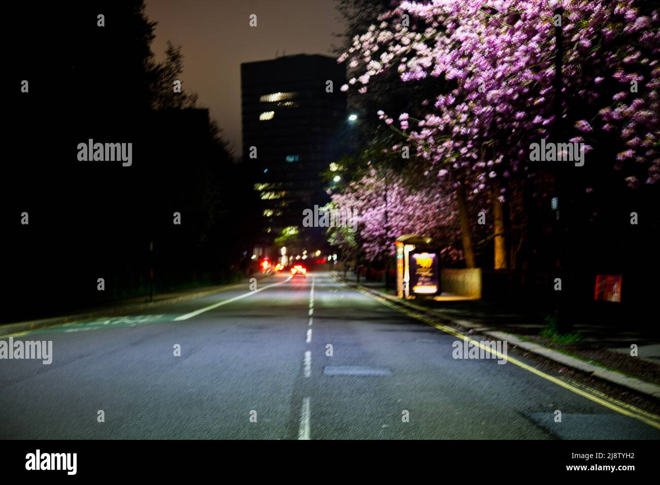 Mitten auf einer Straße oder Autobahn, die nachts in einer Stadt, Großbritannien, nach vorne blickt Stockfoto