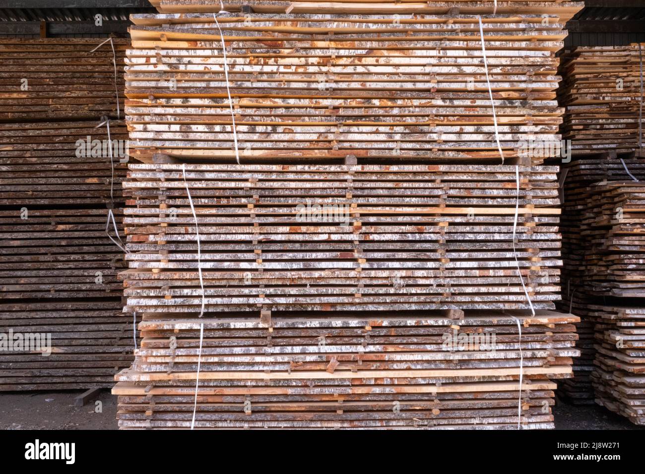 Stapel von Planken, unbehandelte Birkenplanken, Nahaufnahme mit verschwommenem Hintergrund. Stockfoto
