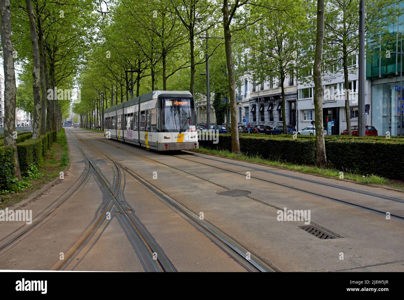 De Lijn Straßenbahn in der baumgesäumten Straße von Britselei im Zentrum von Antwerpen, Belgien. De Lijn ist das staatlich betriebene Verkehrsunternehmen für Flandern Stockfoto