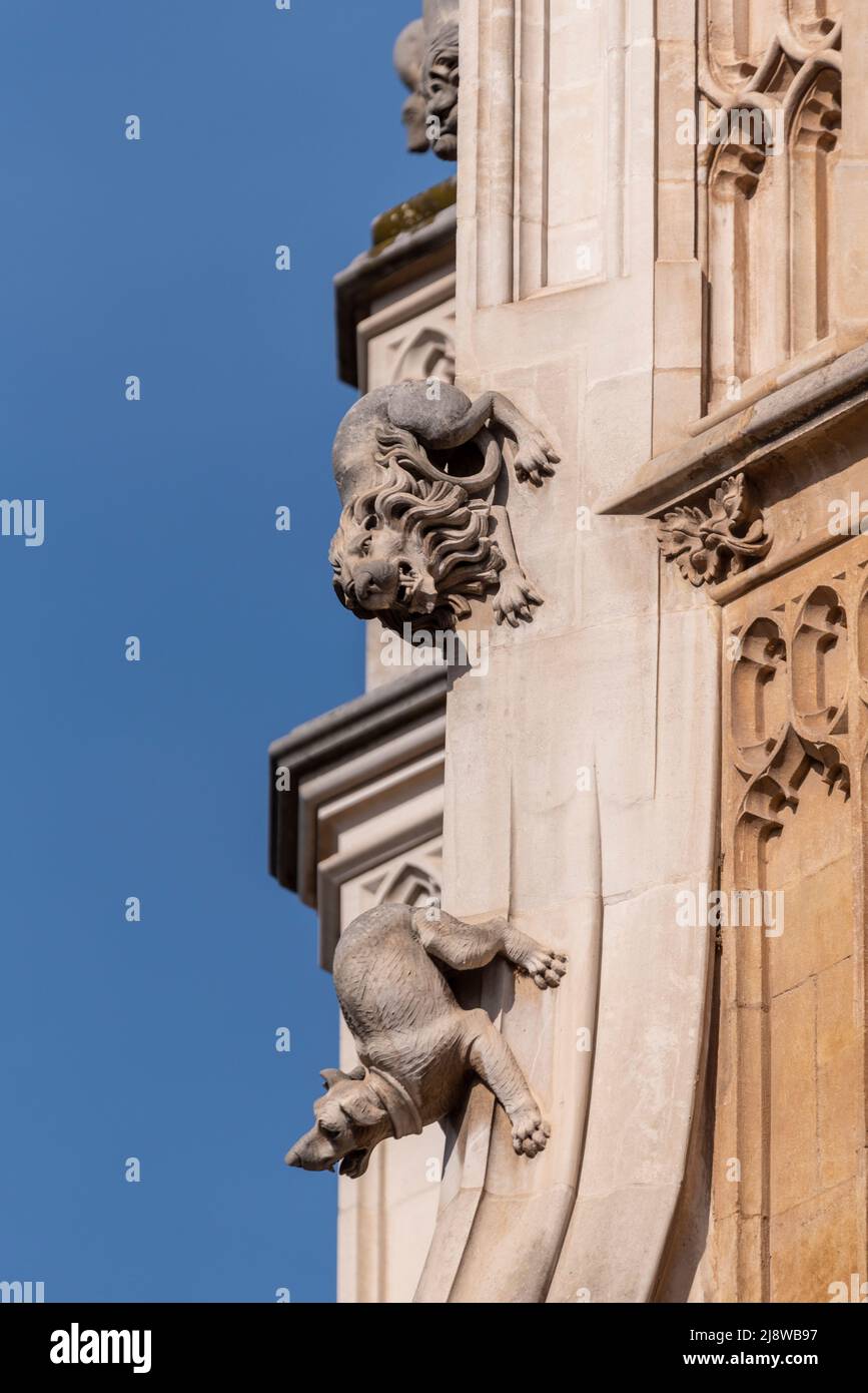 Wasserspeier, Tierdetails auf Westminster Abbey. Gotische Abteikirche in der City of Westminster, London, Großbritannien. Henry-VII-Kapelle am östlichen Ende der Abtei Stockfoto