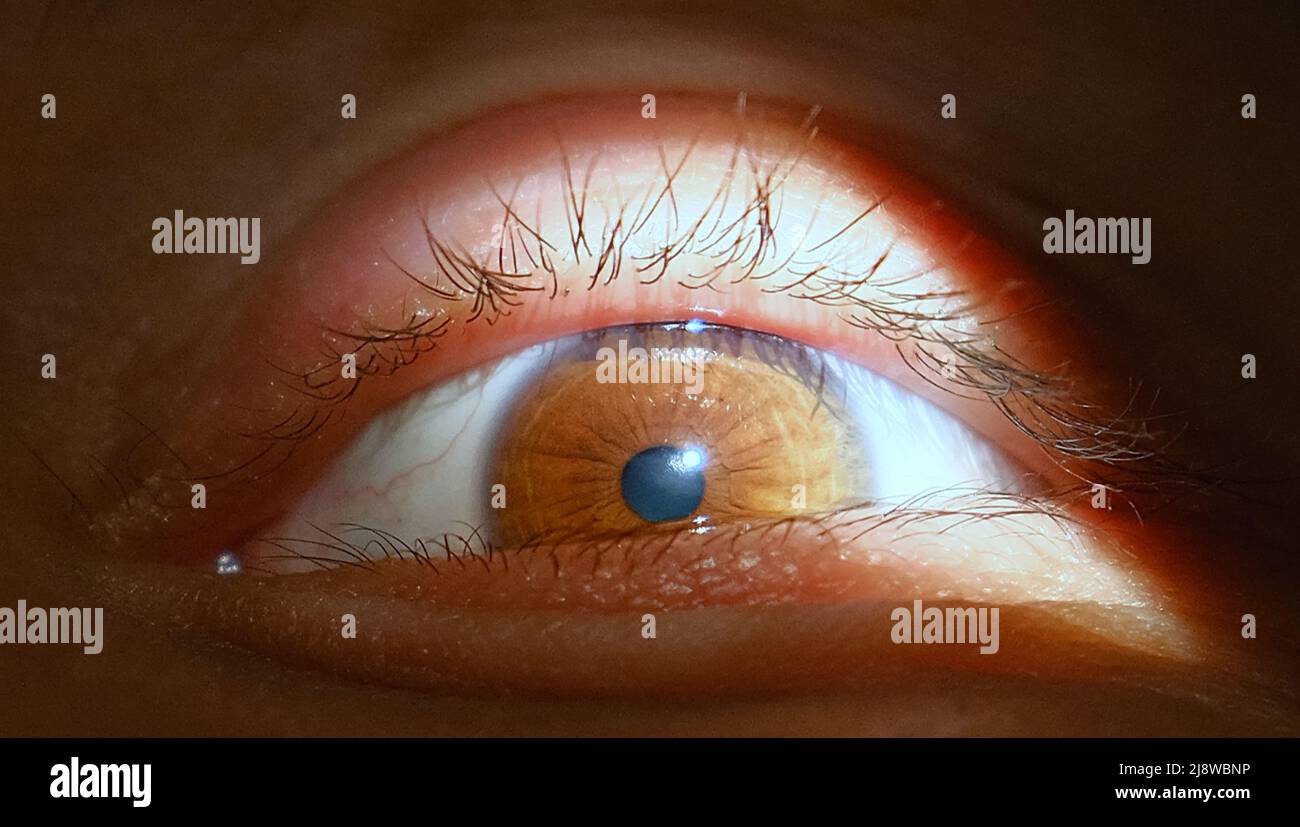 Detail der menschlichen Augen. Nahaufnahme der Augen Stockfoto