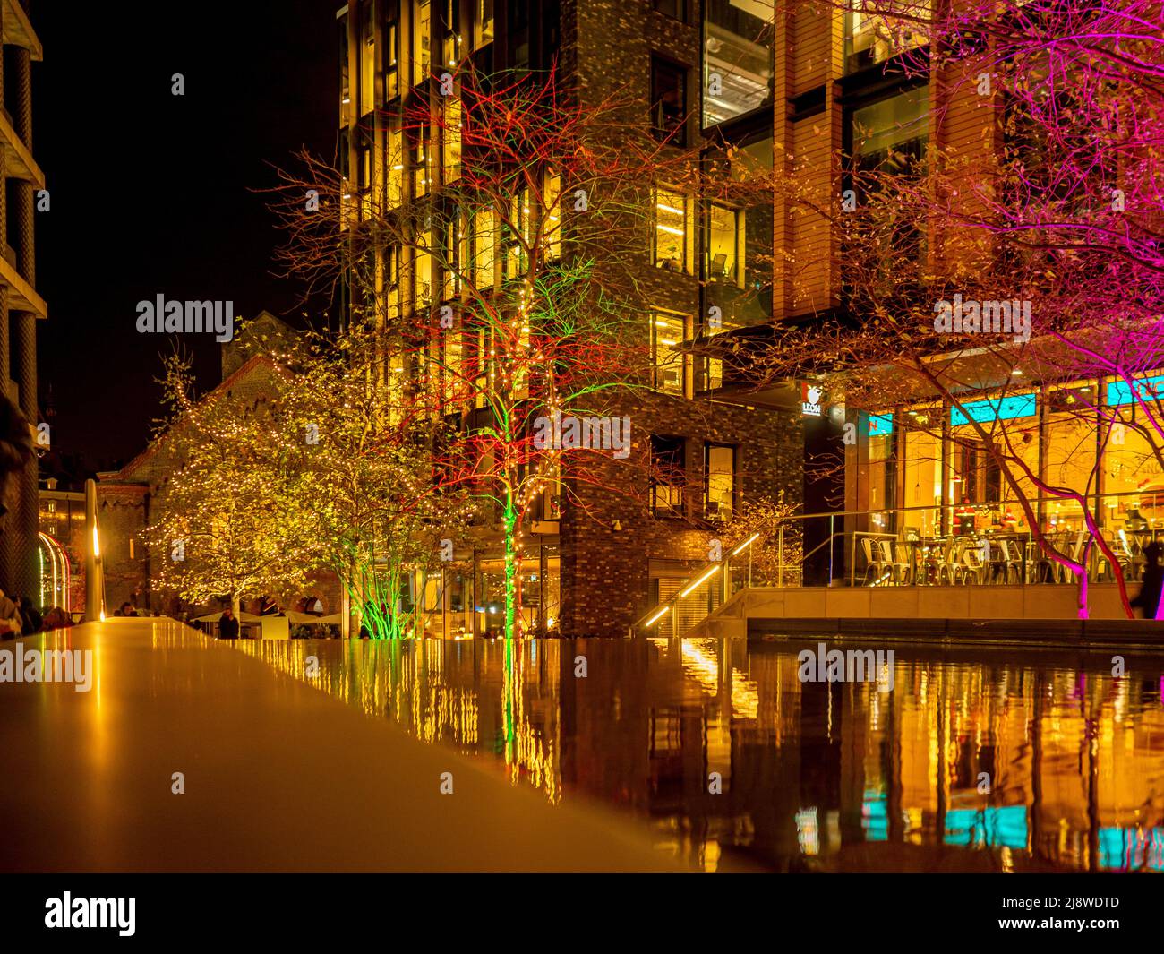 Bäume, die in der Nacht auf dem Pancras-Platz mit farbigem Licht beleuchtet werden. London. Stockfoto