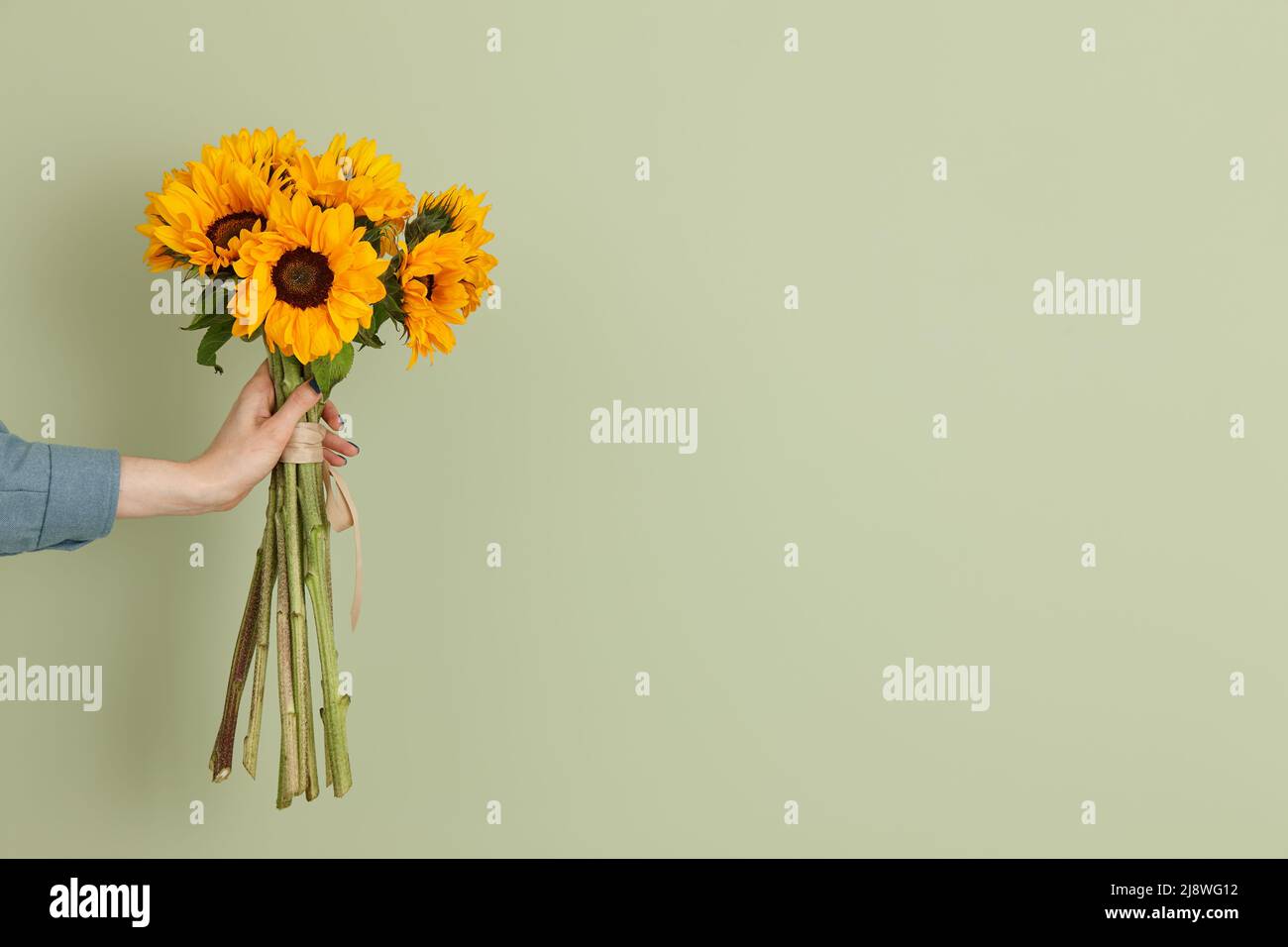 Sommerstrauß von Sonnenblumen auf grünem Wandhintergrund Stockfoto