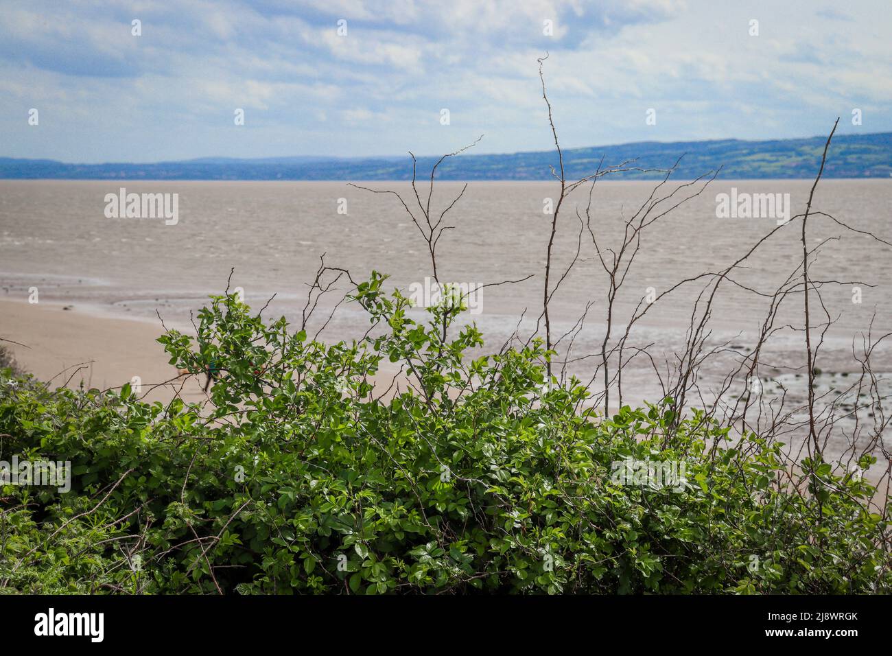 Blick über die Dee-Mündung in Richtung Wales mit Sandstrand, Gezeiten und Grün Stockfoto