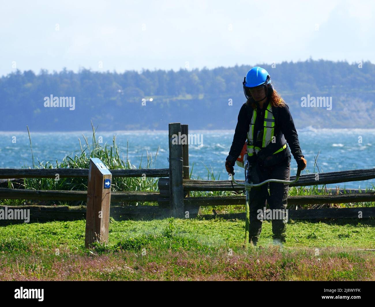 Parkarbeiter trimmt Gras Stockfoto